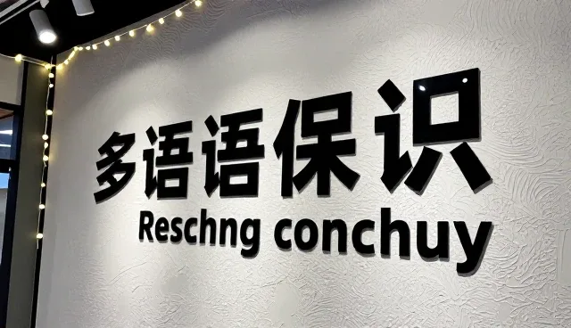 多语言翻译在驾照认证服务中的实际应用与挑战